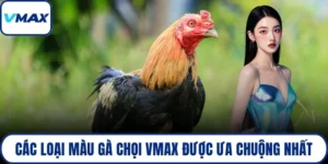 các loại màu gà chọi