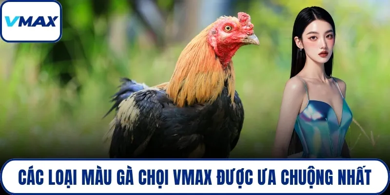 các loại màu gà chọi