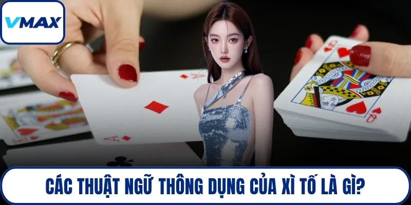 Các thuật ngữ thông dụng của xì tố là gì?