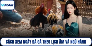 cách xem ngày đá gà