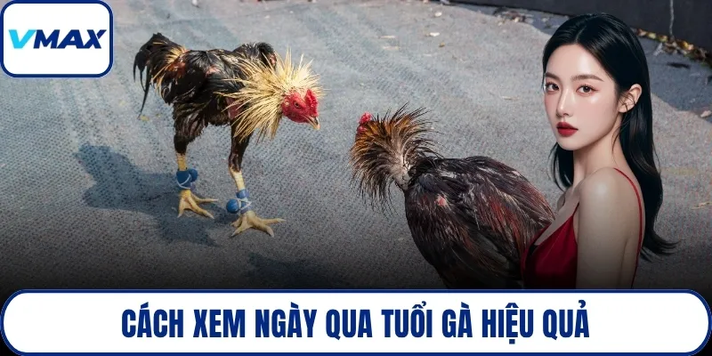 Cách xem ngày qua tuổi gà hiệu quả
