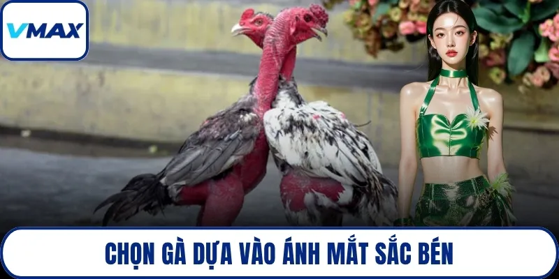 Chọn gà dựa vào ánh mắt sắc bén