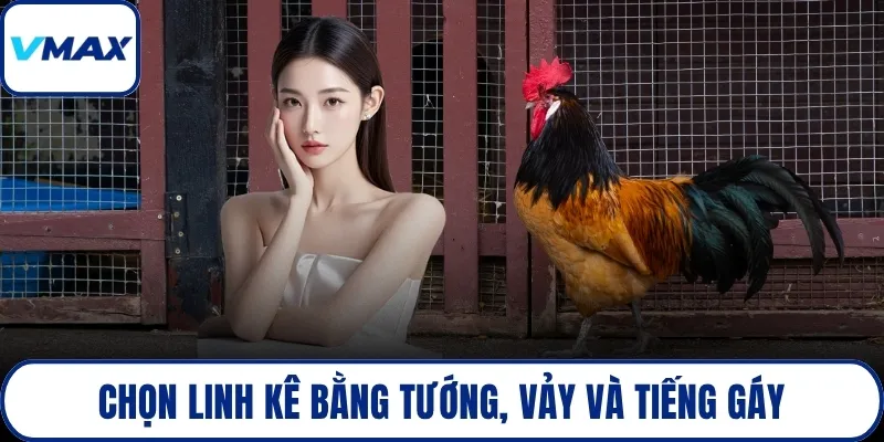 Chọn linh kê bằng tướng, vảy và tiếng gáy