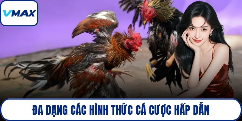 Đa dạng các hình thức cá cược hấp dẫn