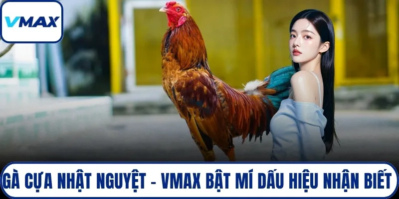 gà cựa nhật nguyệt
