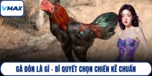 gà đòn