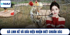 gà linh kê