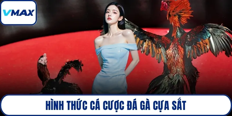 Hình thức cá cược đá gà cựa sắt