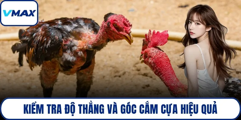 Kiểm tra độ thẳng và góc cắm cựa hiệu quả