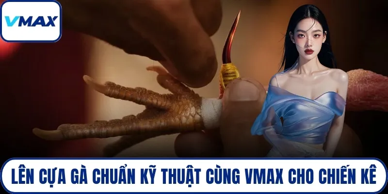 lên cựa gà