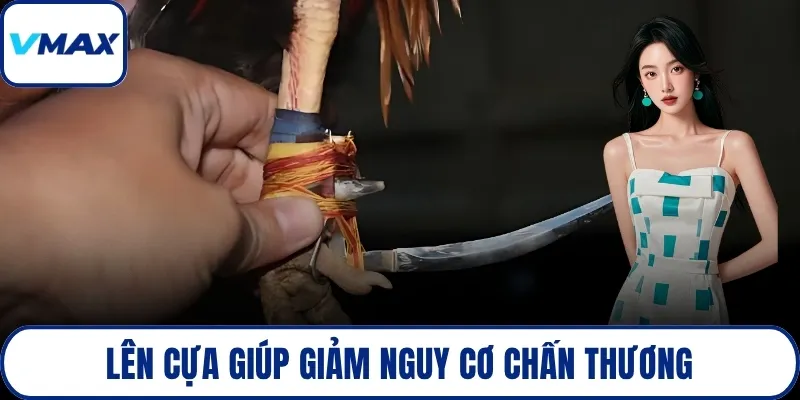 Lên cựa giúp giảm nguy cơ chấn thương