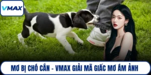 mơ bị chó cắn