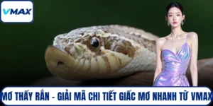 mơ thấy rắn