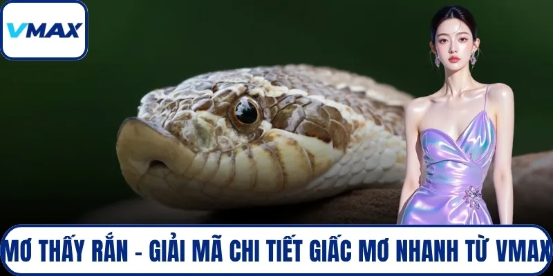 mơ thấy rắn