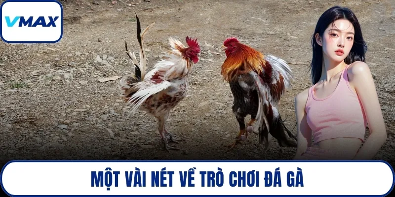 Một vài nét về trò chơi đá gà