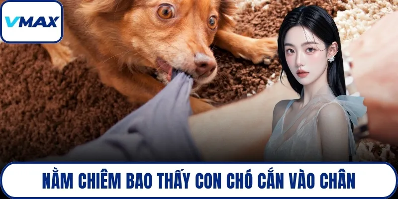 Nằm chiêm bao thấy con chó cắn vào chân