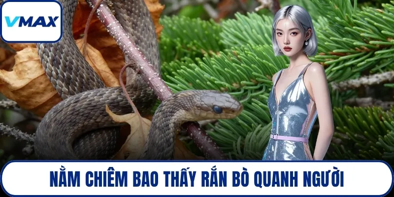 Nằm chiêm bao thấy rắn bò quanh người