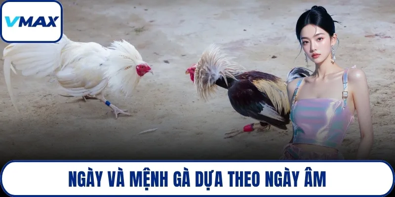 Ngày và mệnh gà dựa theo ngày âm