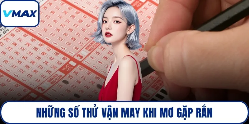 Những số thử vận may khi mơ gặp rắn
