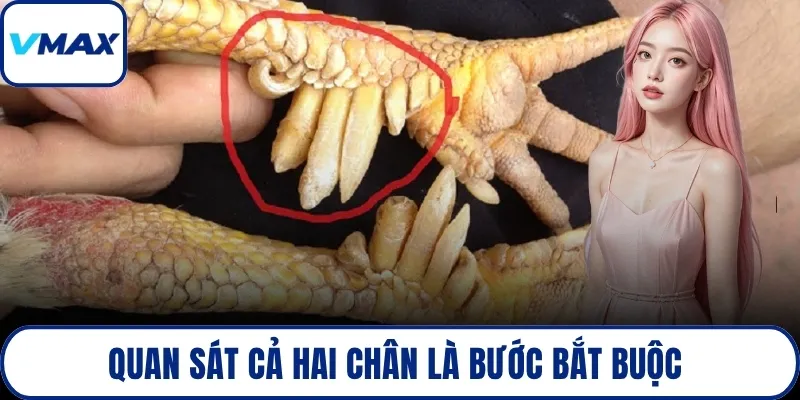 Quan sát cả hai chân là bước bắt buộc 