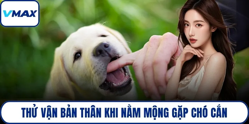 Thử vận bản thân khi nằm mộng gặp chó cắn