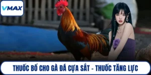 thuốc bổ cho gà đá cựa sắt