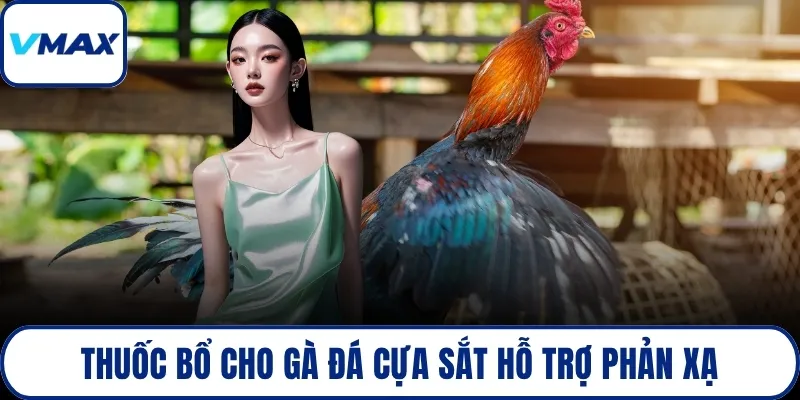Thuốc bổ cho gà đá cựa sắt hỗ trợ phản xạ