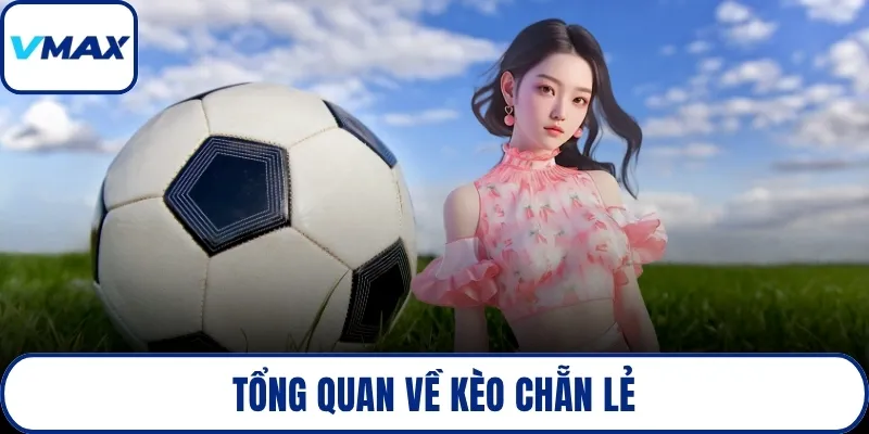 Tổng quan về kèo chẵn lẻ