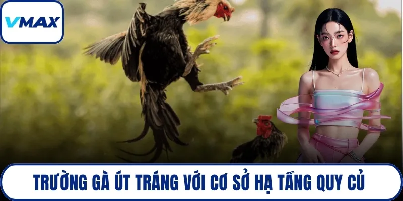 Trường gà Út Tráng với cơ sở hạ tầng quy củ 