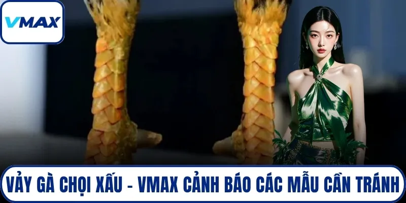 vảy gà chọi xấu