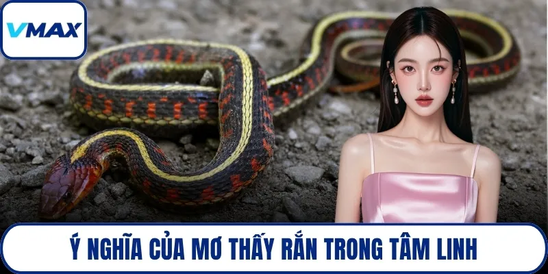Ý nghĩa của mơ thấy rắn trong tâm linh